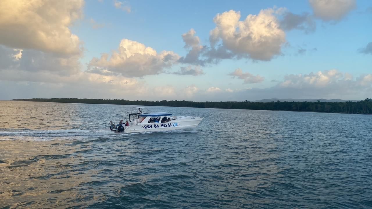 nado con delfines en punta cana: experiencia interactiva (dolphin discovery / dolphin island)