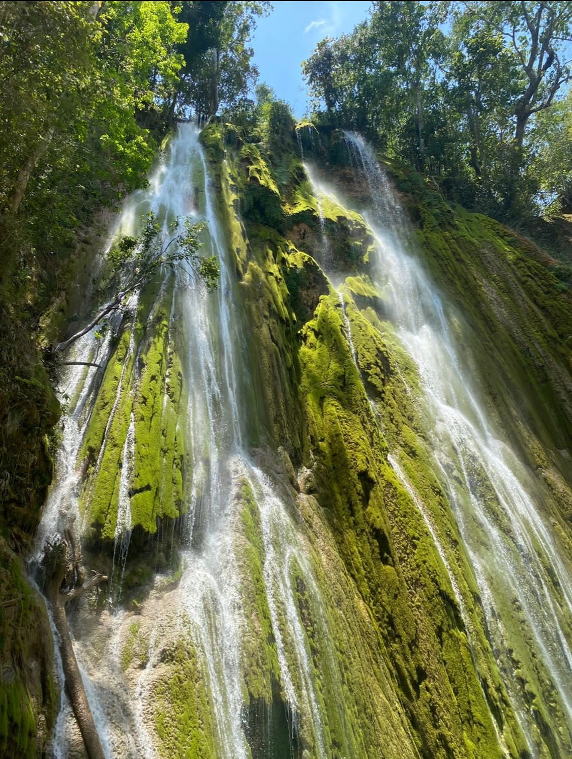tour a samaná: cascada el limón y cayo levantado (desde punta cana)