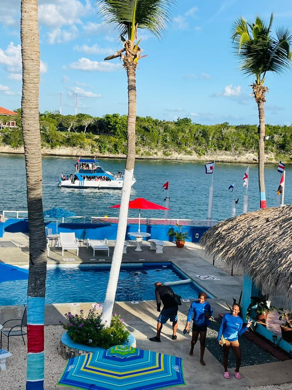 nado con delfines en punta cana: experiencia interactiva (dolphin discovery / dolphin island)