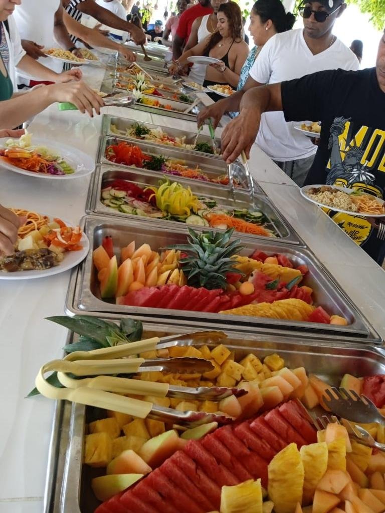 nado con delfines en punta cana: experiencia interactiva (dolphin discovery / dolphin island)