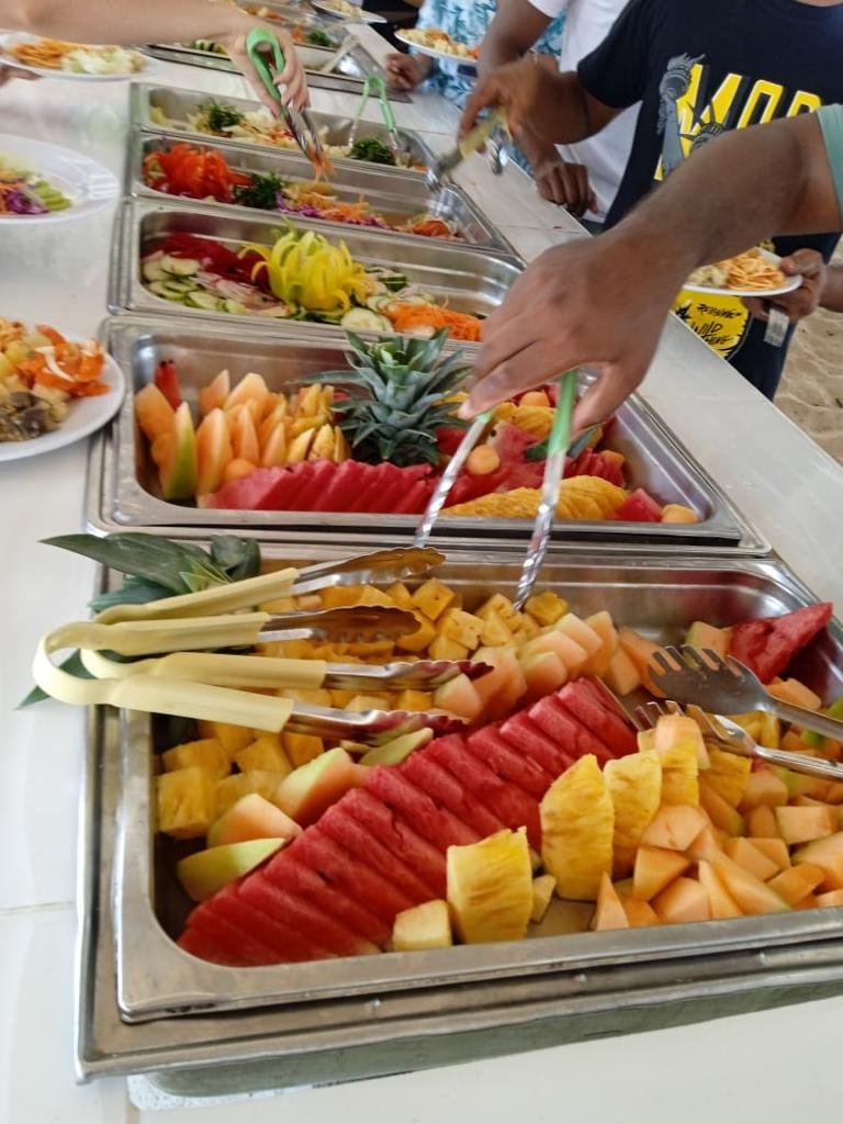 nado con delfines en punta cana: experiencia interactiva (dolphin discovery / dolphin island)