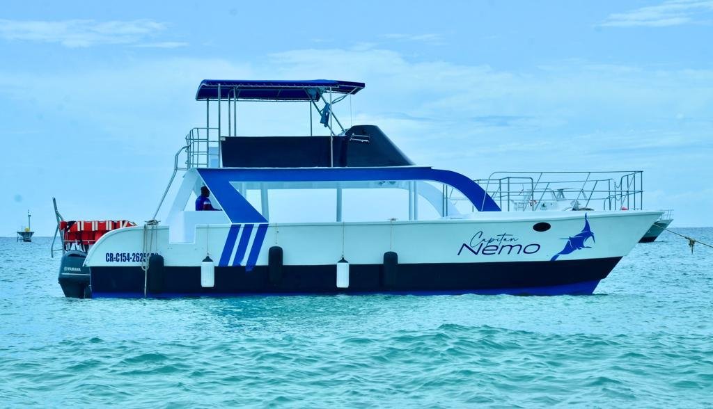 nado con delfines en punta cana: experiencia interactiva (dolphin discovery / dolphin island)