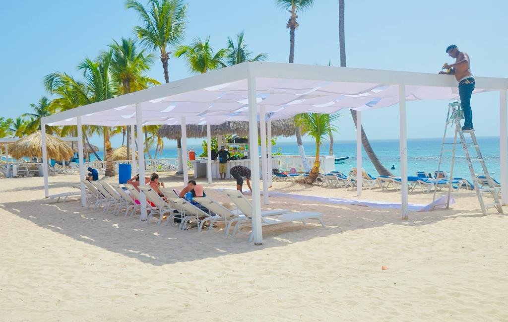 nado con delfines en punta cana: experiencia interactiva (dolphin discovery / dolphin island)