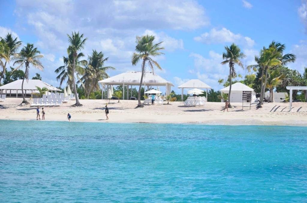 nado con delfines en punta cana: experiencia interactiva (dolphin discovery / dolphin island)