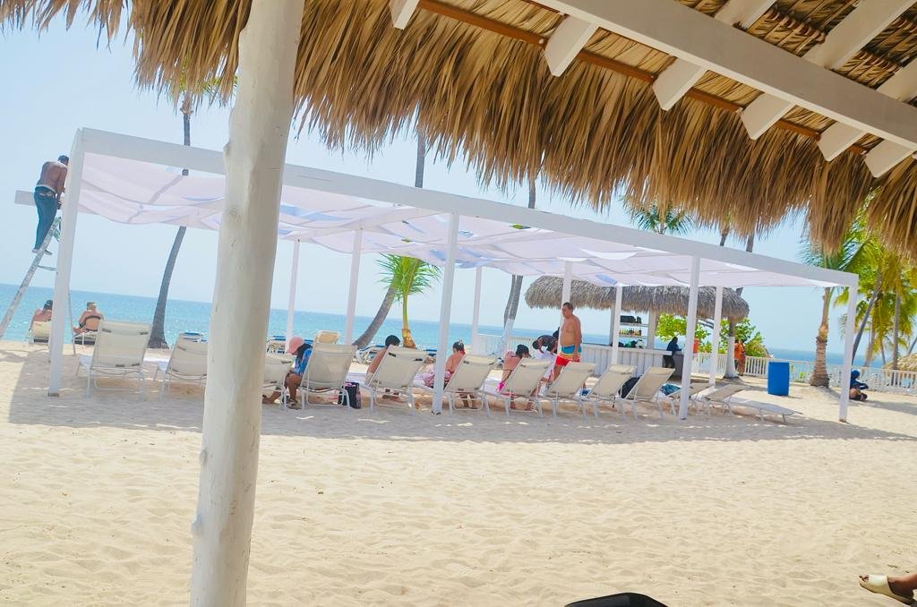 nado con delfines en punta cana: experiencia interactiva (dolphin discovery / dolphin island)