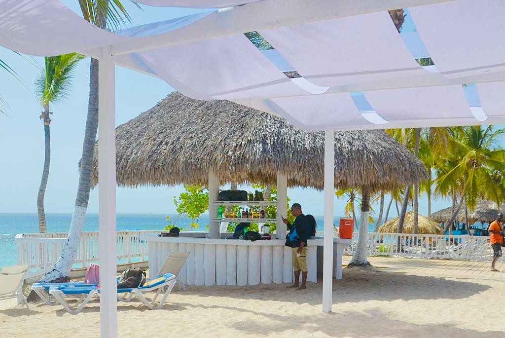 nado con delfines en punta cana: experiencia interactiva (dolphin discovery / dolphin island)