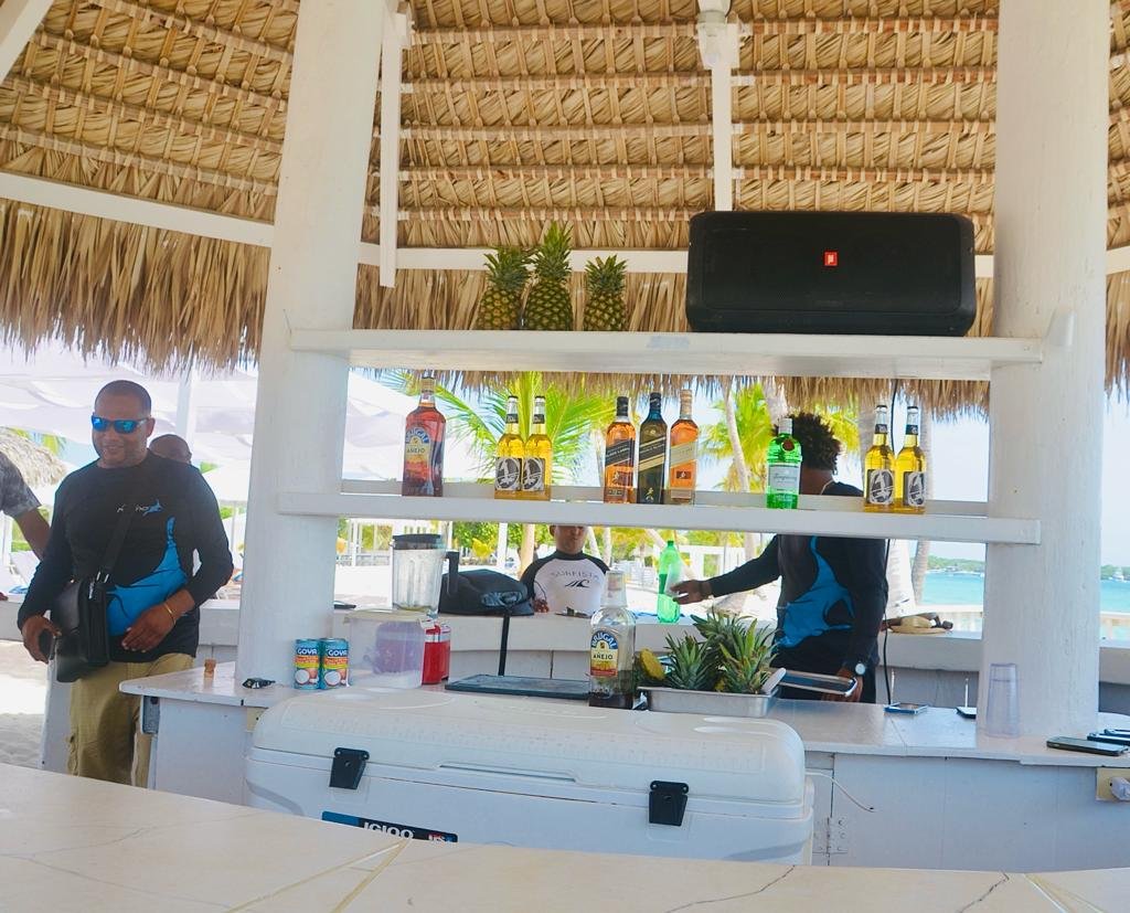 nado con delfines en punta cana: experiencia interactiva (dolphin discovery / dolphin island)