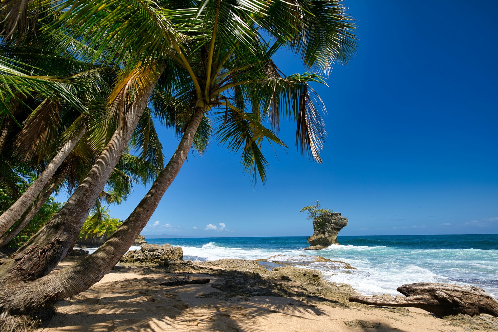 Tropical beach in Limón, Costa Rica with palm trees and rock formations under clear skies.
