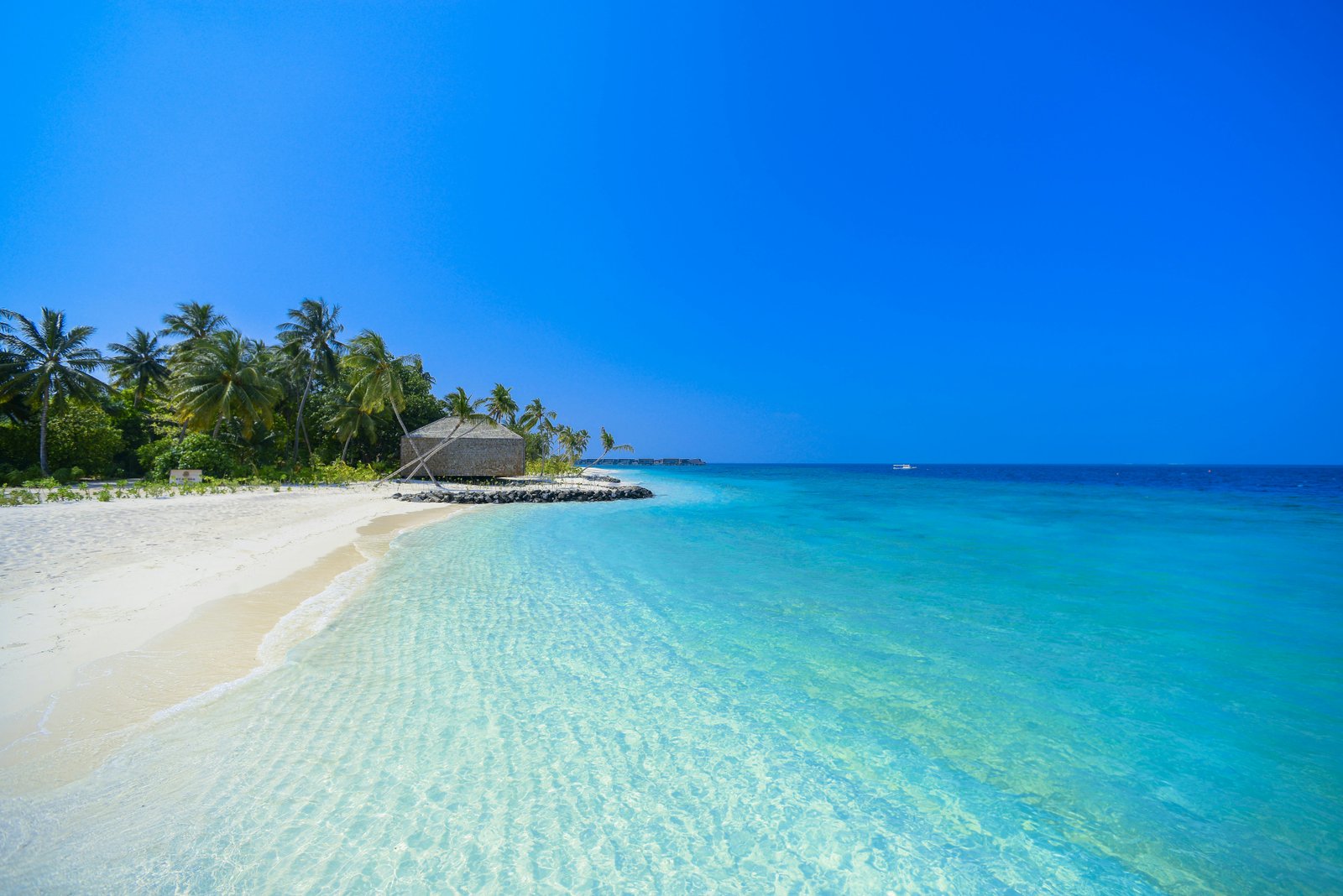 Playa de arena blanca y agua turquesa en Paquetes Punta Cana Todo Incluido 2026